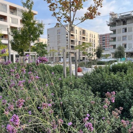 MOULINIER CONSEILS : Appartement | LYON (69003) | 63.00m2 | 249 500 € 
