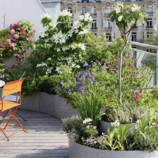 MOULINIER CONSEILS : Appartement | CALUIRE-ET-CUIRE (69300) | 86.00m2 | 518 000 € 