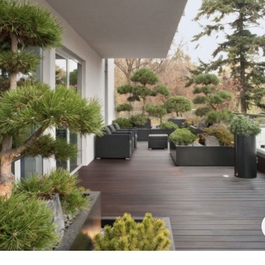  MOULINIER CONSEILS : Appartement | SAINTE-FOY-LES-LYON (69110) | 86 m2 | 534 000 &euro; 
