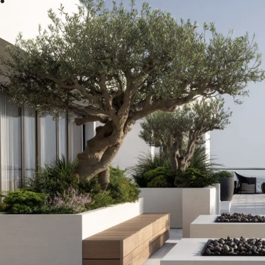 MOULINIER CONSEILS : Appartement | TASSIN-LA-DEMI-LUNE (69160) | 130.00m2 | 815 000 € 