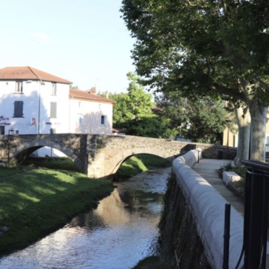  MOULINIER CONSEILS : Appartement | BRIGNAIS (69530) | 107 m2 | 474 100 &euro; 