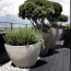  MOULINIER CONSEILS : Apartment | NEYDENS (74160) | 86 m2 | 433 000 € 