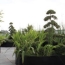  MOULINIER CONSEILS : Apartment | TASSIN-LA-DEMI-LUNE (69160) | 90 m2 | 525 000 € 