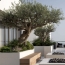  MOULINIER CONSEILS : Appartement | TASSIN-LA-DEMI-LUNE (69160) | 130 m2 | 815 000 &euro; 