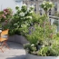  MOULINIER CONSEILS : Appartement | TASSIN-LA-DEMI-LUNE (69160) | 42 m2 | 239 708 &euro; 