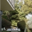  MOULINIER CONSEILS : Appartement | CALUIRE-ET-CUIRE (69300) | 93 m2 | 516 850 € 