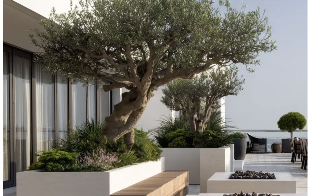 MOULINIER CONSEILS : Appartement | TASSIN-LA-DEMI-LUNE (69160) | 130 m2 | 815 000 &euro; 