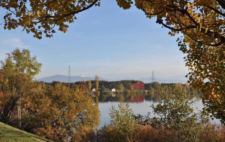 MOULINIER CONSEILS : Appartement | RILLIEUX-LA-PAPE (69140) | 87 m2 | 265 000 € 